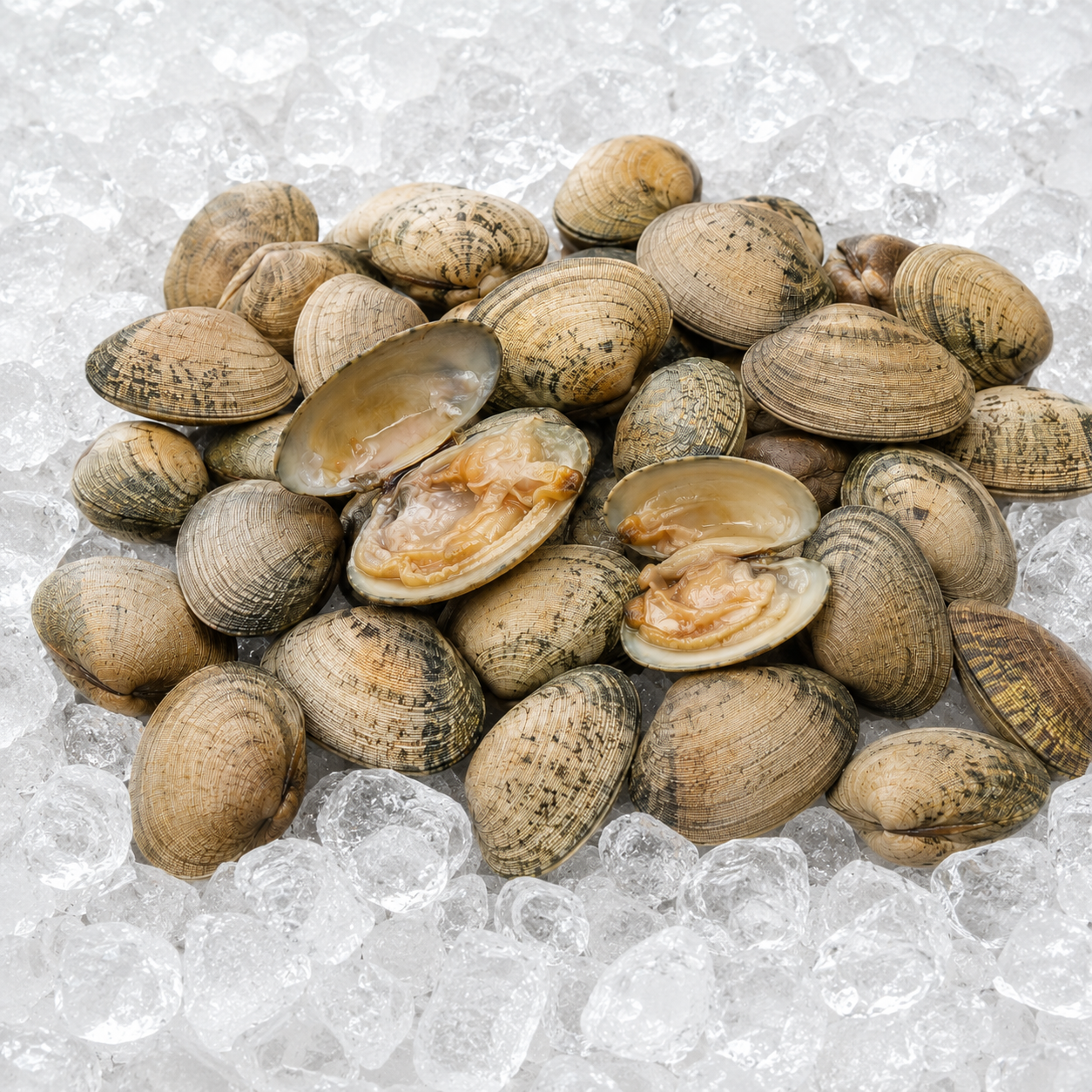 almejas-pescaderia-aurori-chiclana