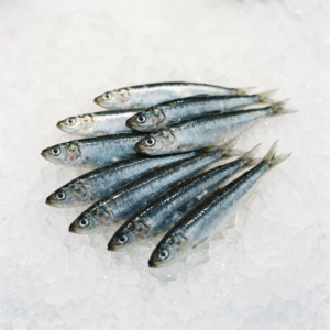 Boquerón