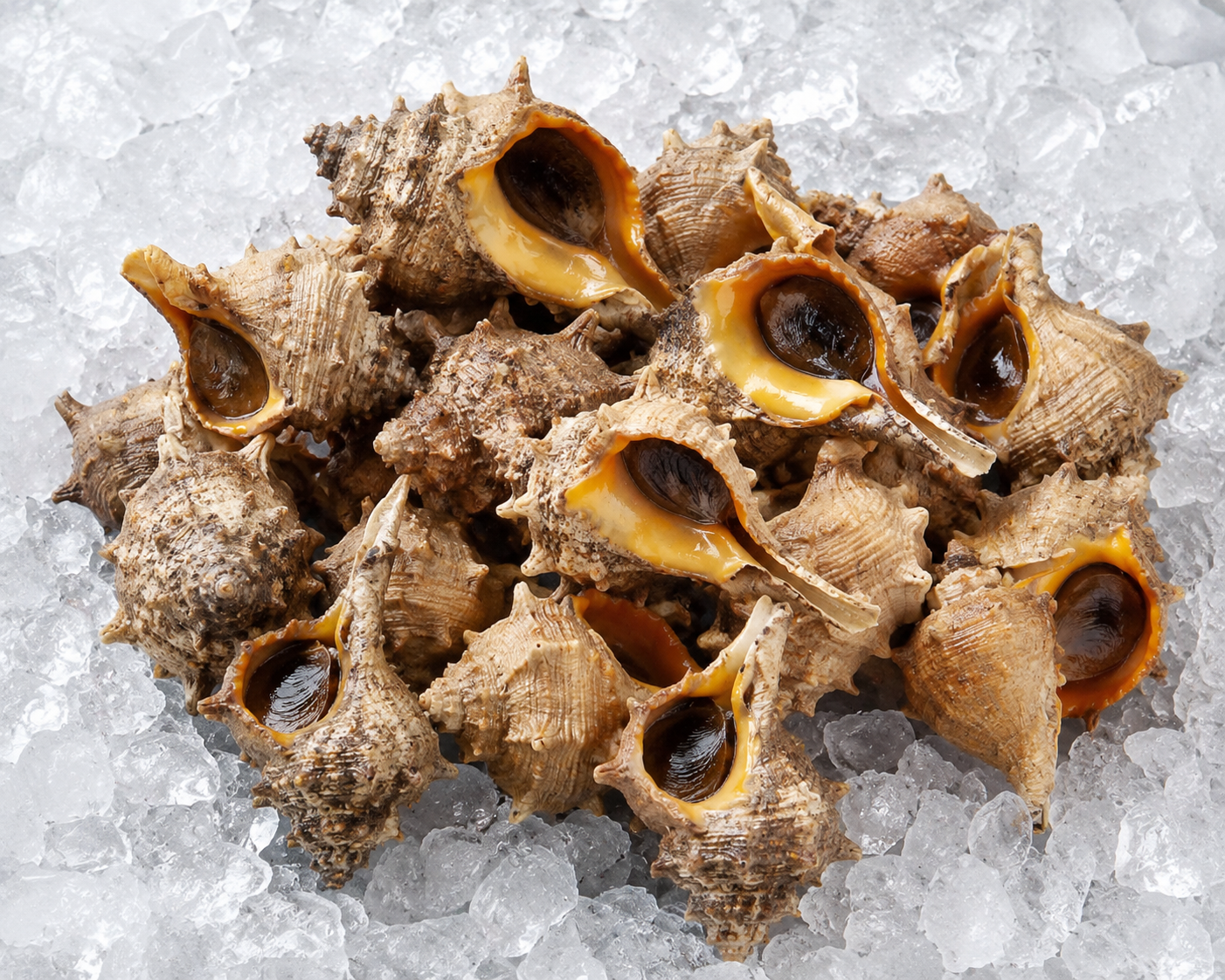 cañaillas-pescaderia-aurori-chiclana