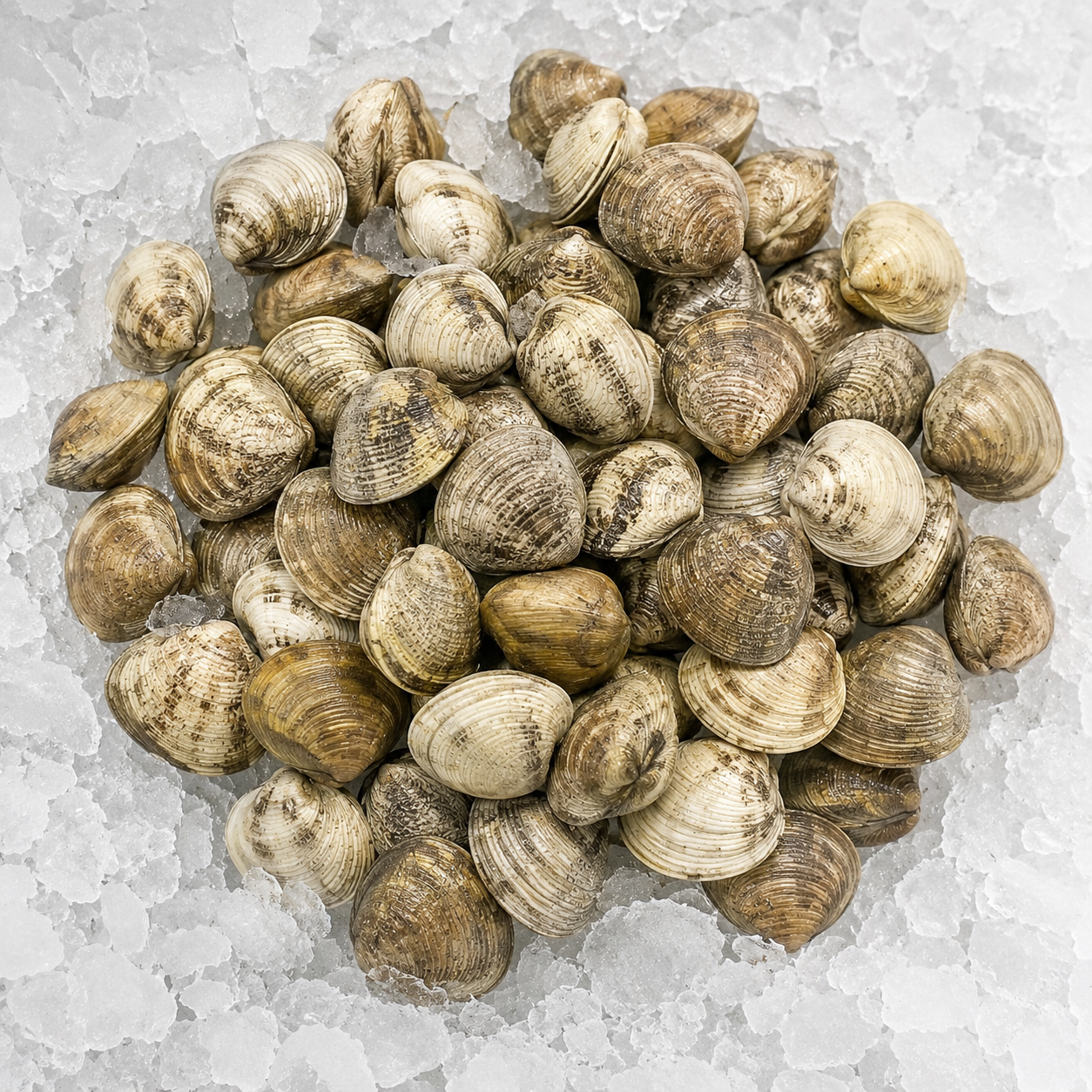 chirlas-pescaderia-aurori-chiclana