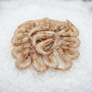 Gamba Blanca Arrocera