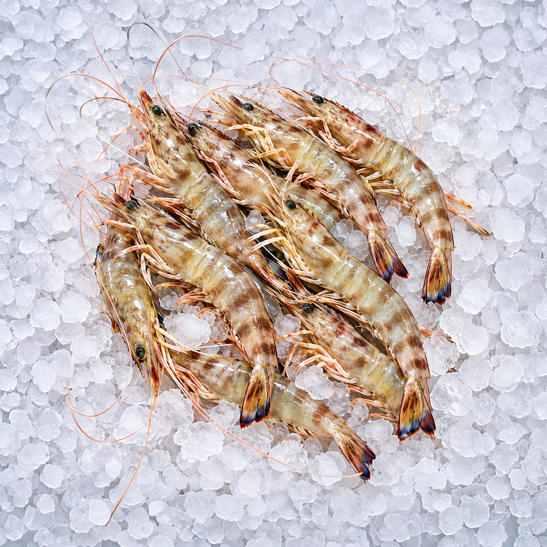 gamba blanca-pescaderia aurori_