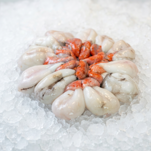 Gamba Blanca