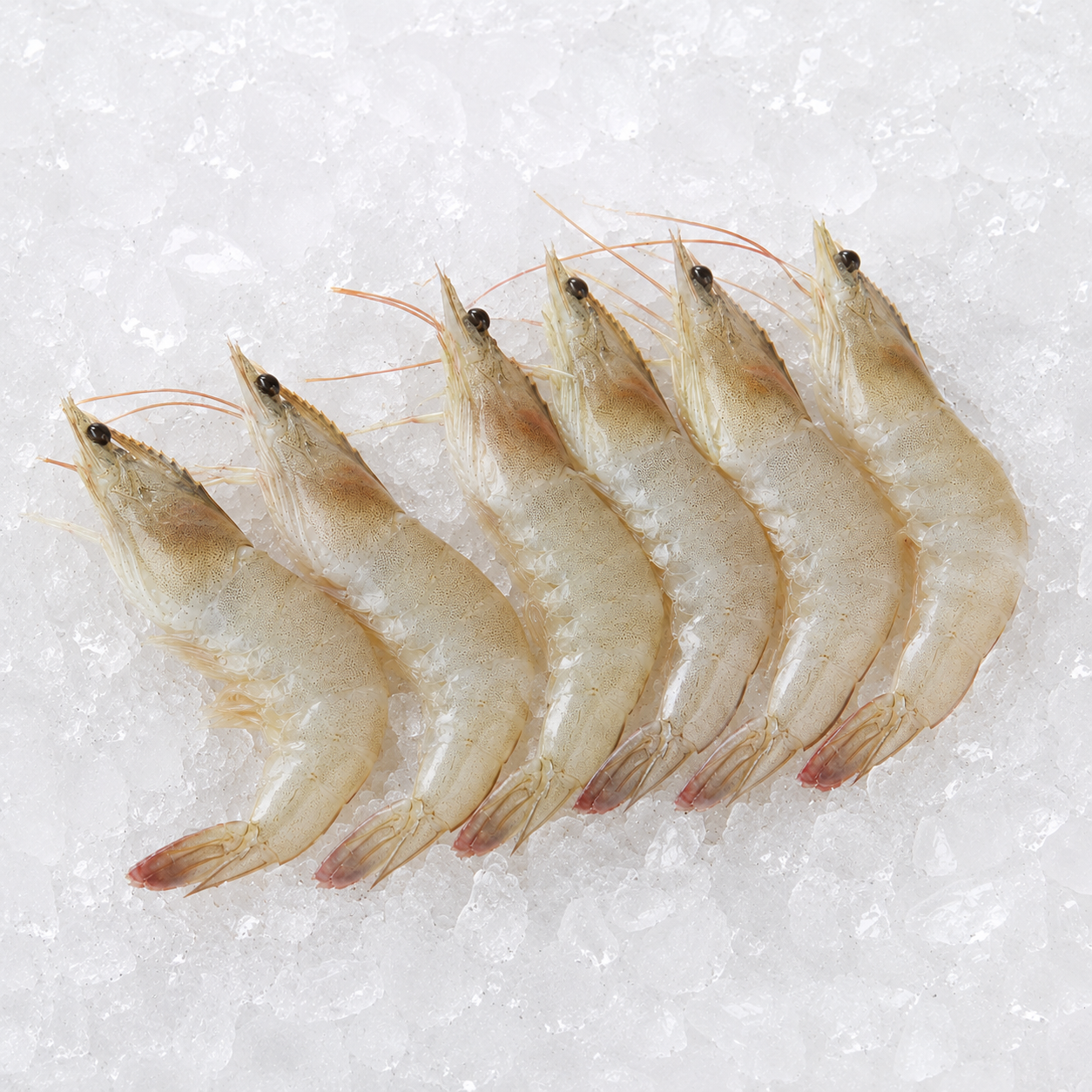 langostinos blancos-pescaderia-aurori-chiclana