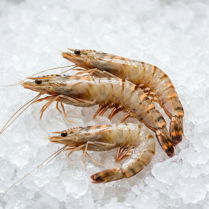 Langostino Tigre
