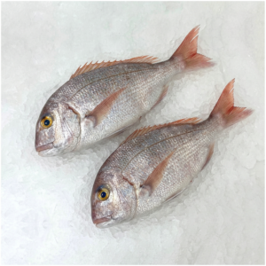 Pargo