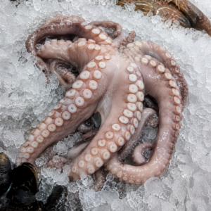 pulpo-pescaderia-aurori-chiclana