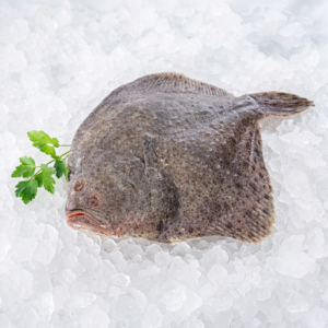 Rodaballo