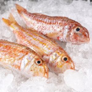 Salmonete