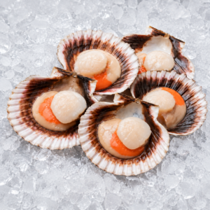 zamburinas-pescaderia-aurori-chiclana
