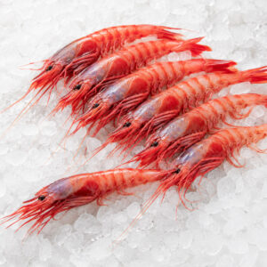 Gamba Roja / Alistado