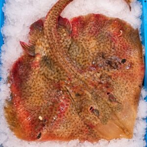 gamba roja-sanlucar de barrameda-marisco fresco-pescadería aurori